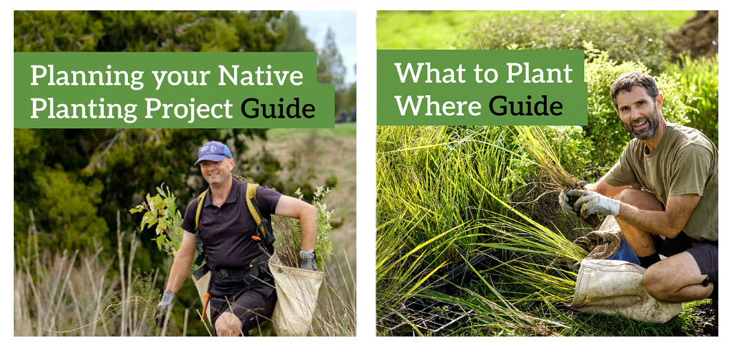 Native Planting Guides Native Planting Guides